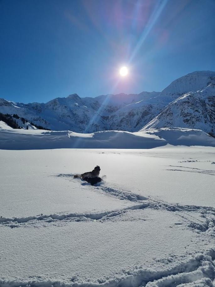 Kurcamping Erlengrund Bad Gastein Kültér fotó